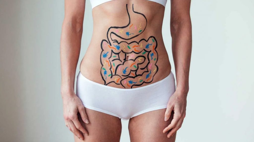 Microbiome woman gut